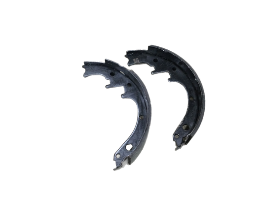 Dexter 10" Hydraulic Brake Shoe Kit